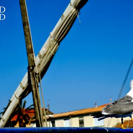 Appartement A101 L'écume Des Vagues Le Grau-du-Roi