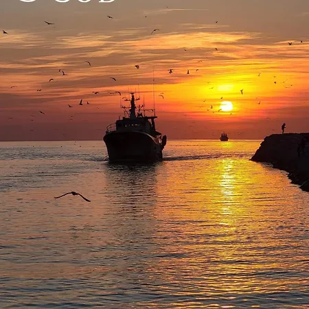 Appartement A101 L'écume Des Vagues