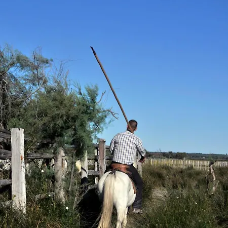 A101 L'écume Des Vagues Appartement Le Grau-du-Roi